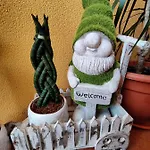 Casinha Gabriela